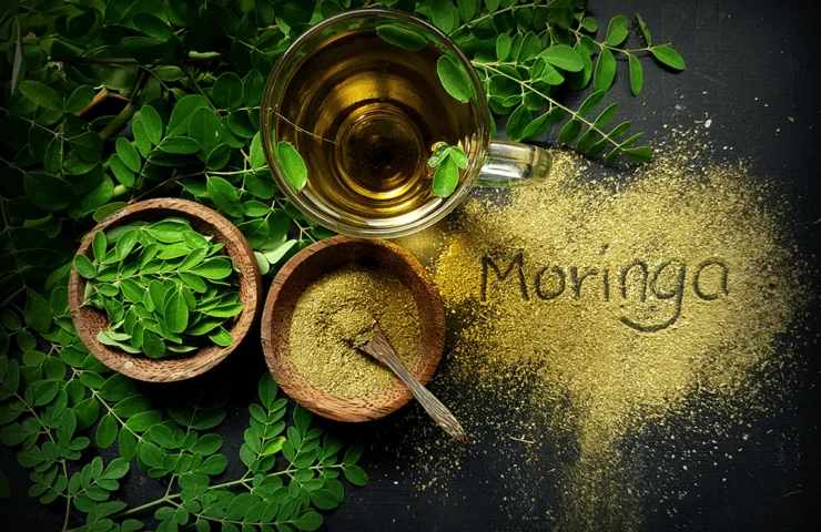 Moringa