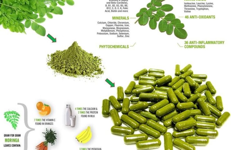 Moringa capsule