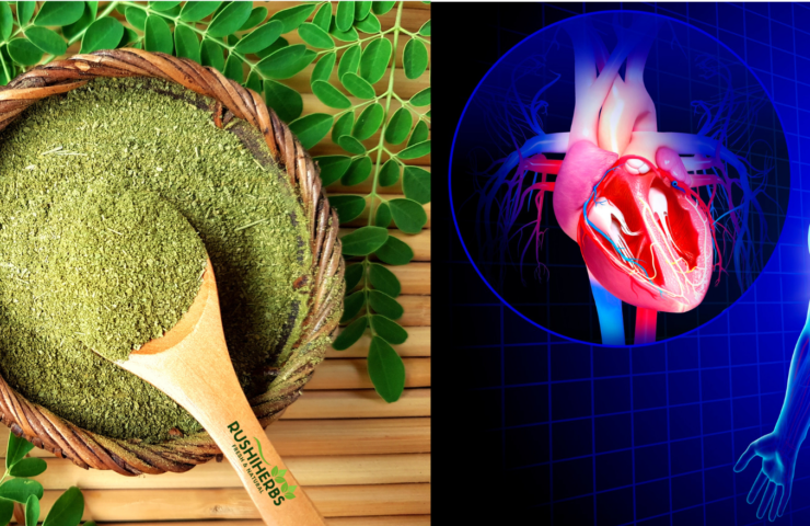 Moringa for Heart Health