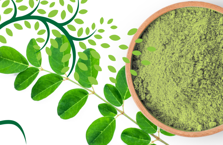 Moringa for Mental Clarity