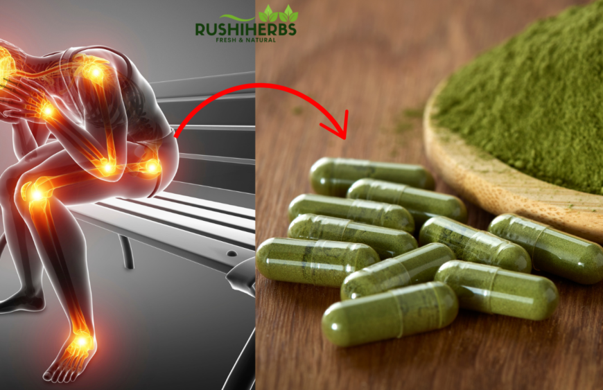 Moringa for Joint Health