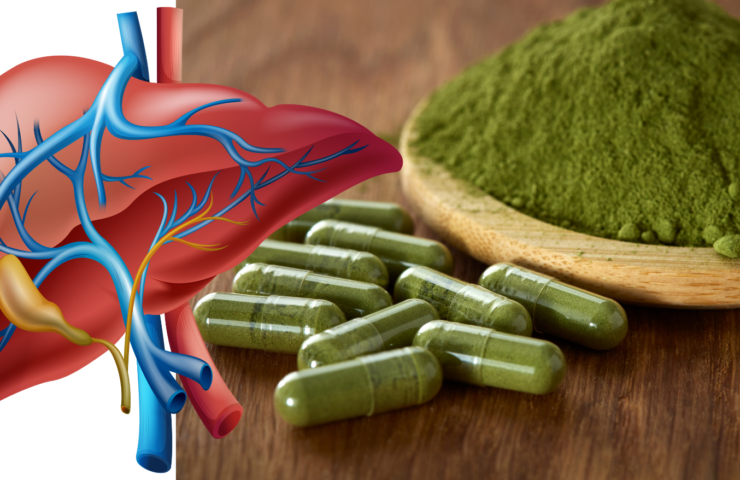 Moringa for Liver Health