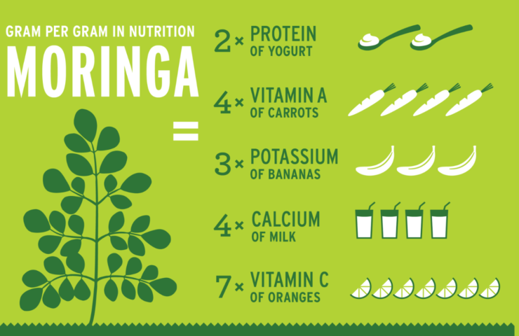 health benefits of moringa capsules