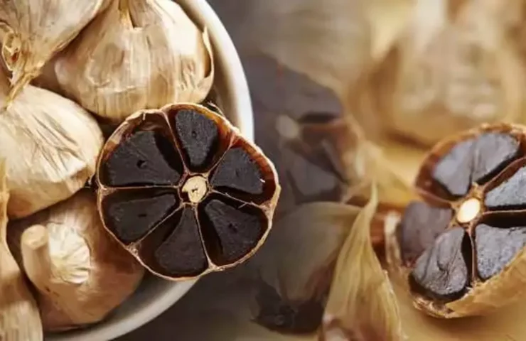 black garlic for gut health
