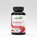 Rushi Herbs , Berberine+ , With Ceylon Cinnamoon , 1200 mg