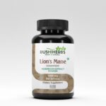 Rushi Herbas , Lion’s Mane , Congnition+ MUSHROOM EXTRACT POWDER , 1000 MG