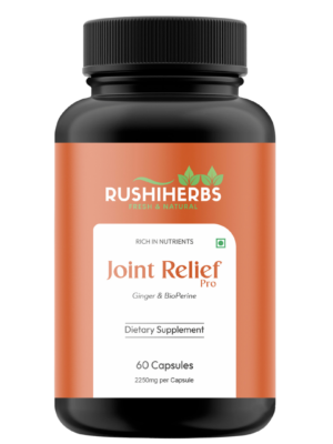 Rushi Herbs Turmeric Curcumin 95% with Ginger & BioPerine - 60 Vegan Capsules