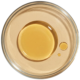 Vitamin E (10mg, 100% RDA)