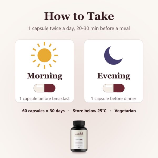 Rushi Herbs Vitamin B12 Methylcobalamin 1000mcg - 60 Veg Capsules
